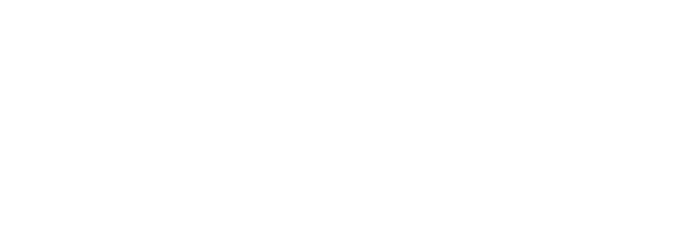 FV Main Logo